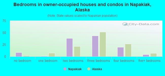 Bedrooms in owner-occupied houses and condos in Napakiak, Alaska