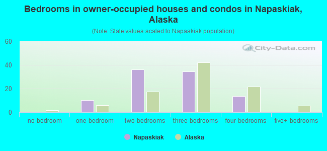 Bedrooms in owner-occupied houses and condos in Napaskiak, Alaska