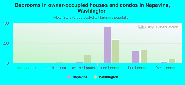 Bedrooms in owner-occupied houses and condos in Napavine, Washington