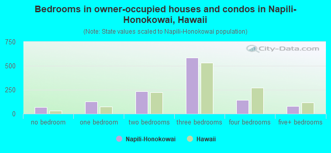 Bedrooms in owner-occupied houses and condos in Napili-Honokowai, Hawaii