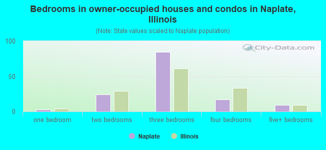 Bedrooms in owner-occupied houses and condos in Naplate, Illinois