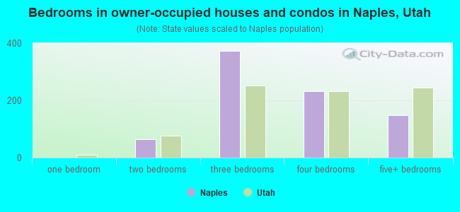 Bedrooms in owner-occupied houses and condos in Naples, Utah
