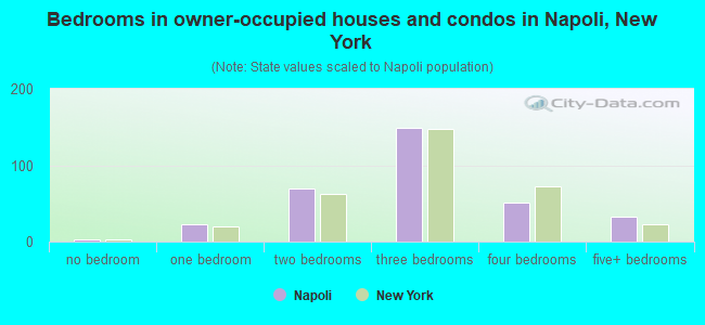 Bedrooms in owner-occupied houses and condos in Napoli, New York