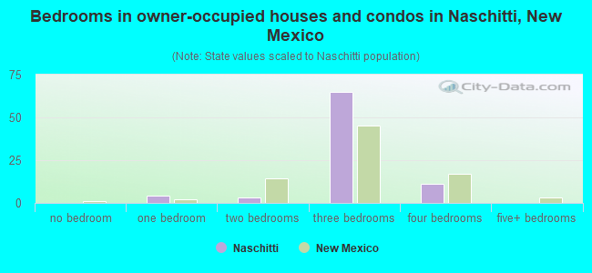 Bedrooms in owner-occupied houses and condos in Naschitti, New Mexico
