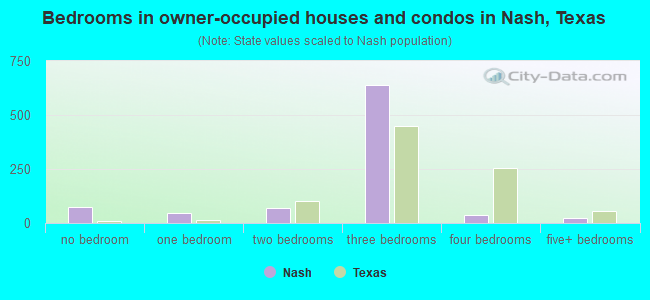 Bedrooms in owner-occupied houses and condos in Nash, Texas