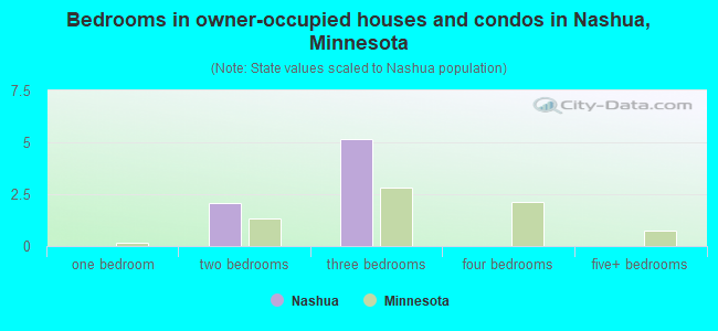 Bedrooms in owner-occupied houses and condos in Nashua, Minnesota