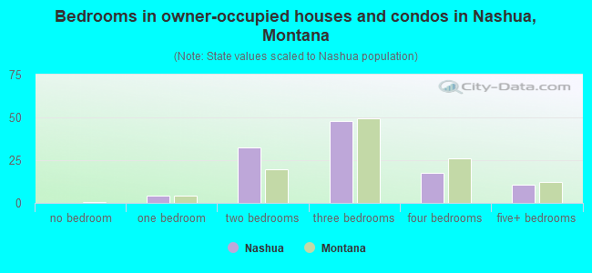 Bedrooms in owner-occupied houses and condos in Nashua, Montana