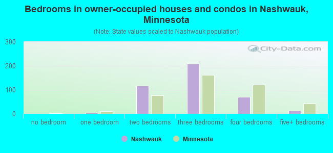 Bedrooms in owner-occupied houses and condos in Nashwauk, Minnesota