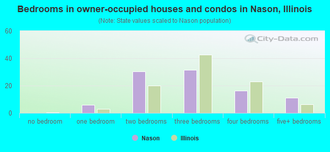 Bedrooms in owner-occupied houses and condos in Nason, Illinois