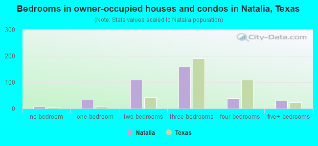 Bedrooms in owner-occupied houses and condos in Natalia, Texas