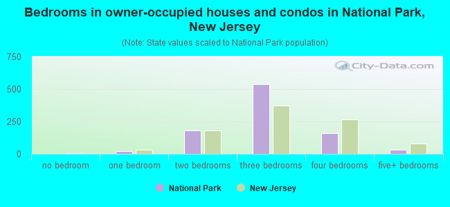 Bedrooms in owner-occupied houses and condos in National Park, New Jersey