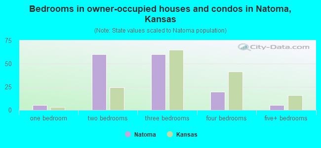Bedrooms in owner-occupied houses and condos in Natoma, Kansas