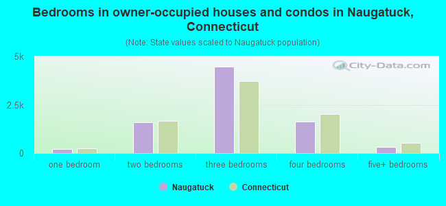 Bedrooms in owner-occupied houses and condos in Naugatuck, Connecticut