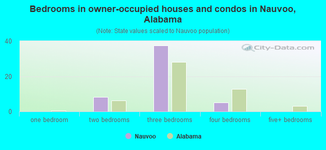 Bedrooms in owner-occupied houses and condos in Nauvoo, Alabama