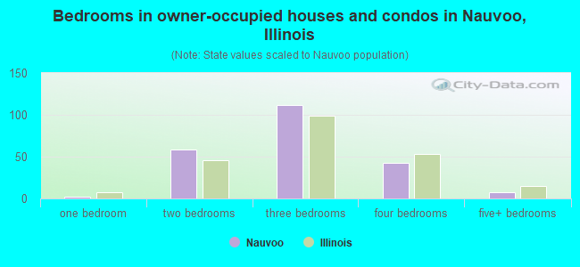 Bedrooms in owner-occupied houses and condos in Nauvoo, Illinois