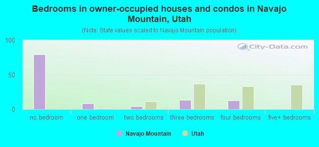 Bedrooms in owner-occupied houses and condos in Navajo Mountain, Utah