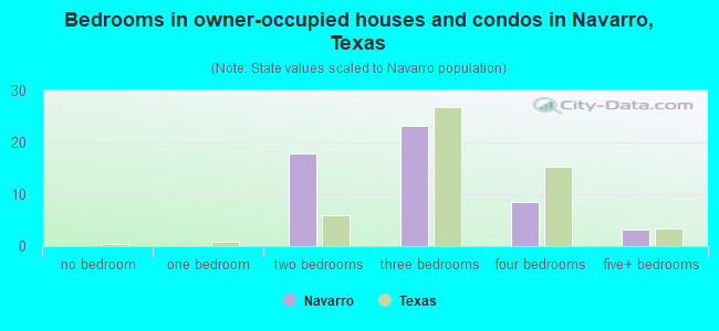 Bedrooms in owner-occupied houses and condos in Navarro, Texas