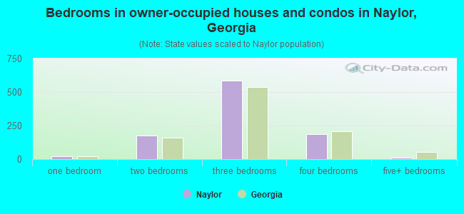 Bedrooms in owner-occupied houses and condos in Naylor, Georgia