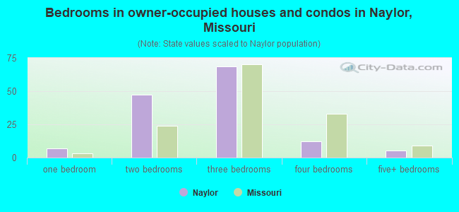 Bedrooms in owner-occupied houses and condos in Naylor, Missouri