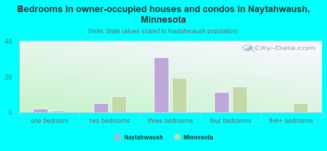 Bedrooms in owner-occupied houses and condos in Naytahwaush, Minnesota