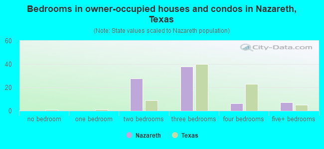 Bedrooms in owner-occupied houses and condos in Nazareth, Texas