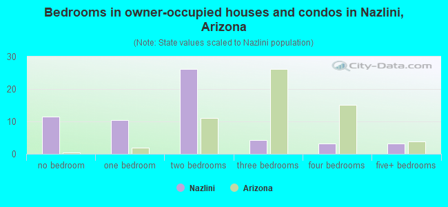 Bedrooms in owner-occupied houses and condos in Nazlini, Arizona