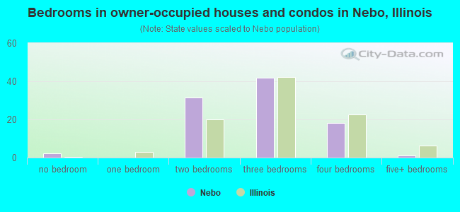 Bedrooms in owner-occupied houses and condos in Nebo, Illinois