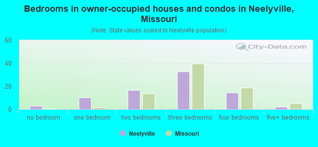 Bedrooms in owner-occupied houses and condos in Neelyville, Missouri