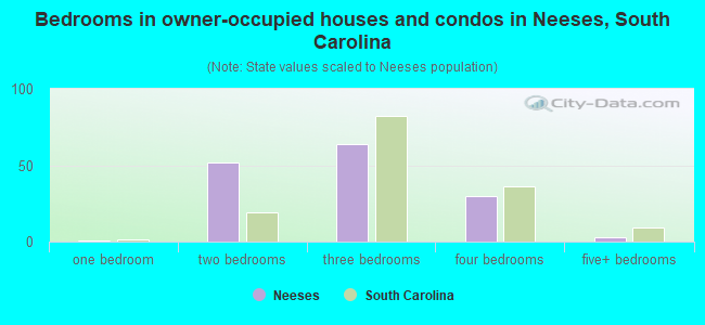 Bedrooms in owner-occupied houses and condos in Neeses, South Carolina