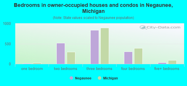Bedrooms in owner-occupied houses and condos in Negaunee, Michigan