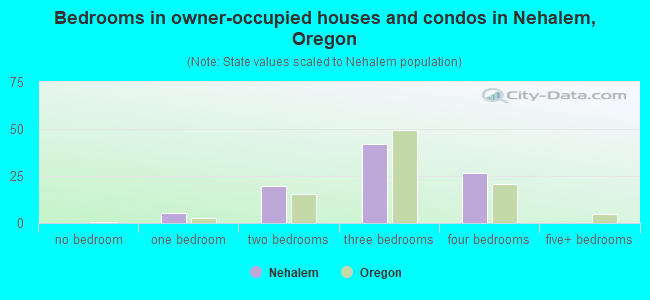 Bedrooms in owner-occupied houses and condos in Nehalem, Oregon