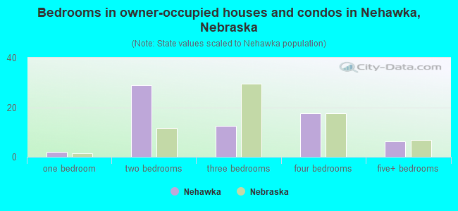 Bedrooms in owner-occupied houses and condos in Nehawka, Nebraska