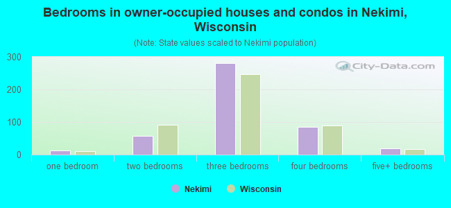 Bedrooms in owner-occupied houses and condos in Nekimi, Wisconsin