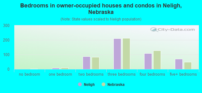 Bedrooms in owner-occupied houses and condos in Neligh, Nebraska