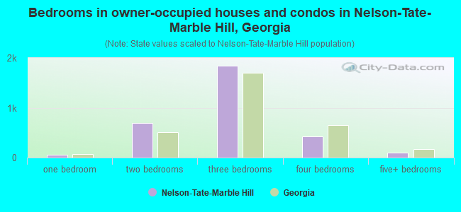 Bedrooms in owner-occupied houses and condos in Nelson-Tate-Marble Hill, Georgia