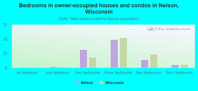 Bedrooms in owner-occupied houses and condos in Nelson, Wisconsin