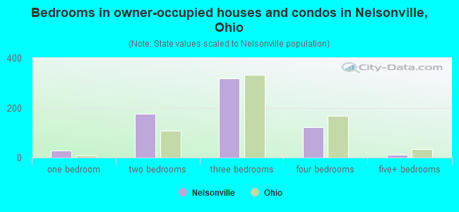 Bedrooms in owner-occupied houses and condos in Nelsonville, Ohio