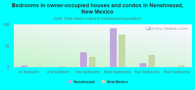 Bedrooms in owner-occupied houses and condos in Nenahnezad, New Mexico