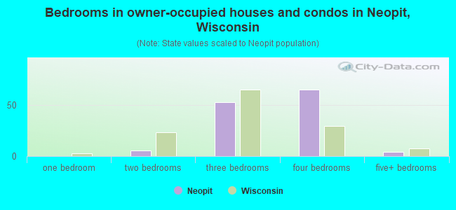 Bedrooms in owner-occupied houses and condos in Neopit, Wisconsin