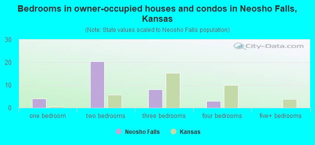 Bedrooms in owner-occupied houses and condos in Neosho Falls, Kansas