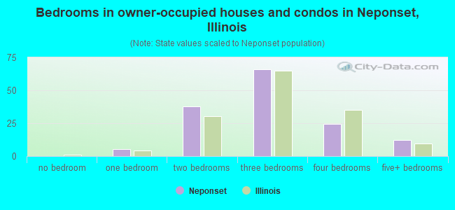 Bedrooms in owner-occupied houses and condos in Neponset, Illinois