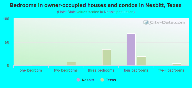 Bedrooms in owner-occupied houses and condos in Nesbitt, Texas