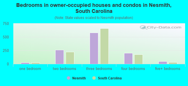 Bedrooms in owner-occupied houses and condos in Nesmith, South Carolina