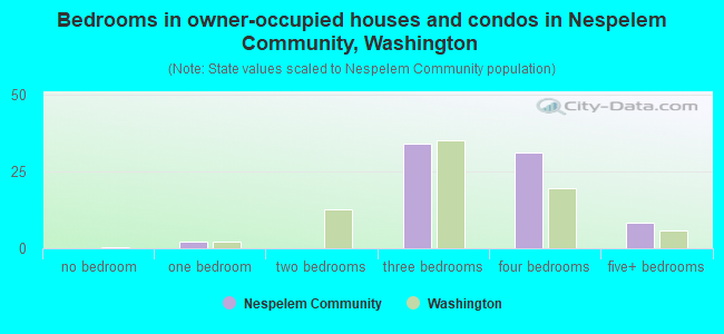 Bedrooms in owner-occupied houses and condos in Nespelem Community, Washington