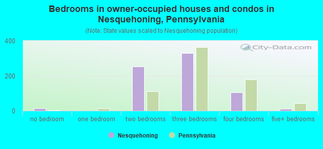 Bedrooms in owner-occupied houses and condos in Nesquehoning, Pennsylvania
