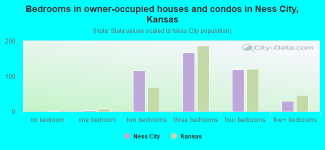 Bedrooms in owner-occupied houses and condos in Ness City, Kansas