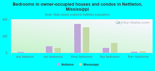 Bedrooms in owner-occupied houses and condos in Nettleton, Mississippi