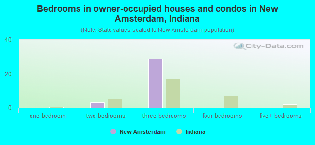 Bedrooms in owner-occupied houses and condos in New Amsterdam, Indiana