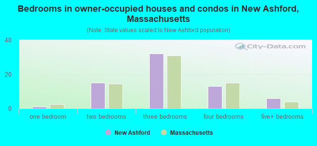 Bedrooms in owner-occupied houses and condos in New Ashford, Massachusetts