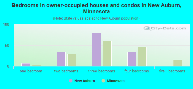 Bedrooms in owner-occupied houses and condos in New Auburn, Minnesota